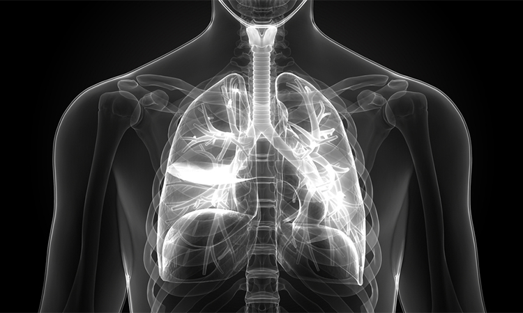 British Lung Foundation and Asthma UK appoint new head - Research