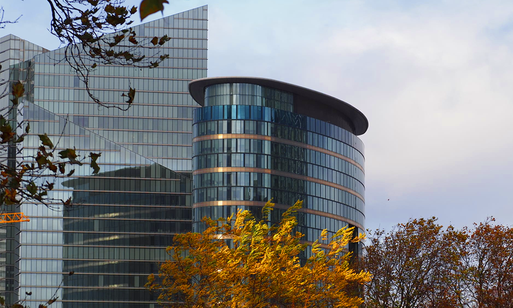 ERC reverses controversial grant restrictions - Research Professional News