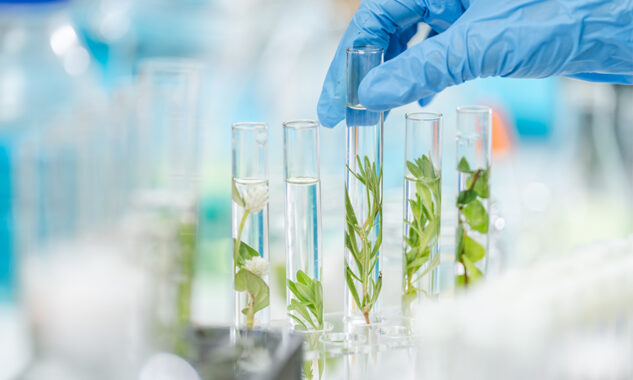 Homepage - Research Professional News